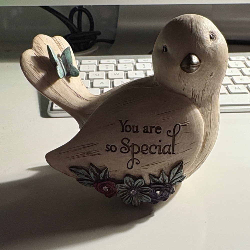 You Are So Special Bird Decor